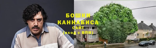 трава Алзамай