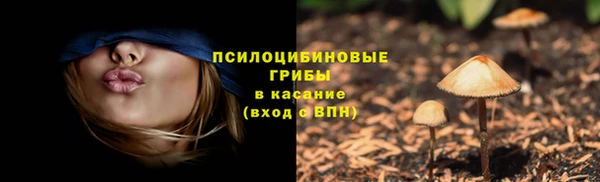 трава Алзамай