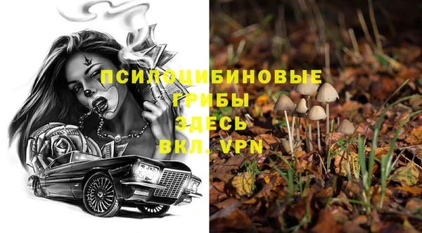 spice Алексеевка